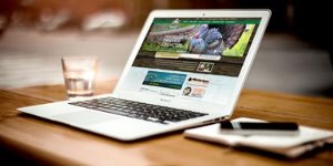 Diseño de Páginas Web
